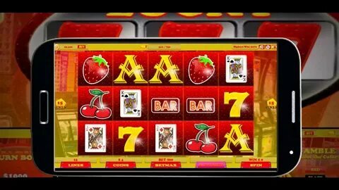 plataforma de bingo online 